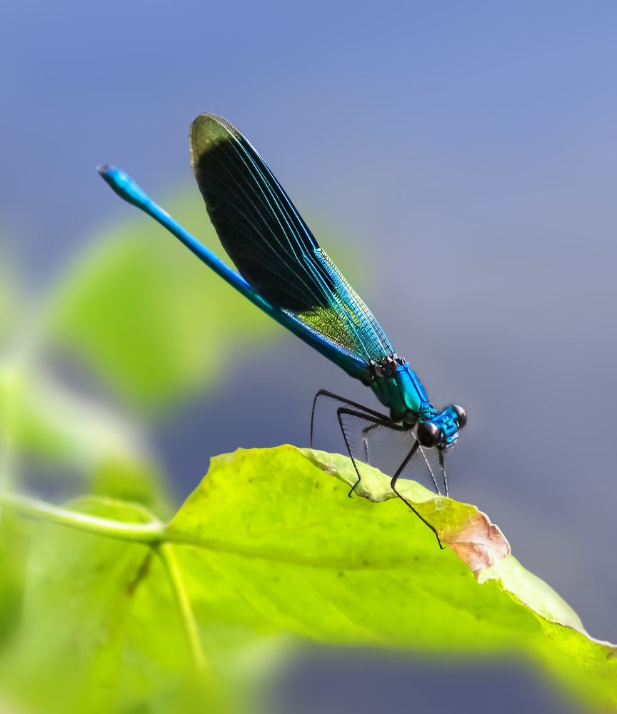 Photograph by Анастасия Семилетова