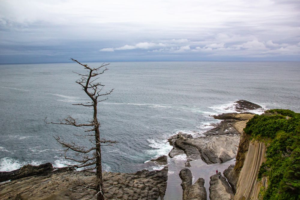 Photograph by Нурида Сорокоумова