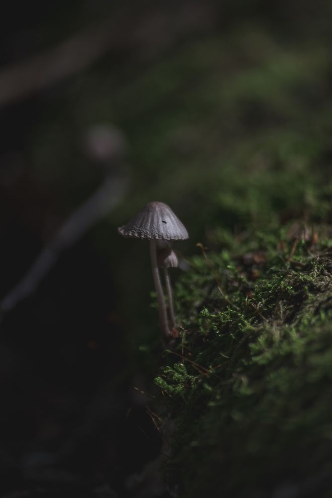 Photograph by Ольга Белова