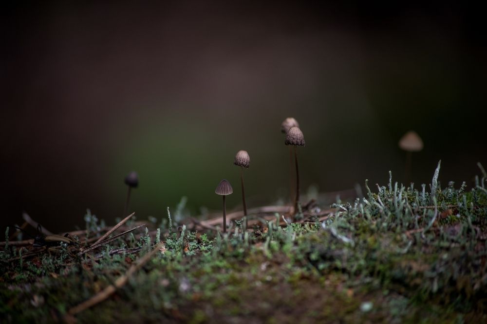 Photograph by Ольга Белова