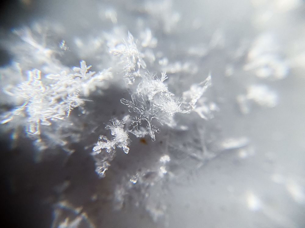 Photograph by Ольга Белова