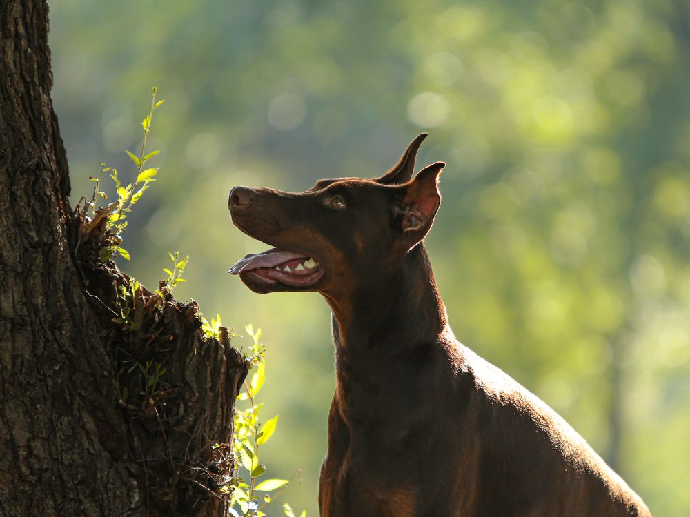 Photograph by Варвара Торокина