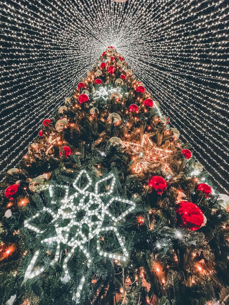 Photograph by Александр Кучеров