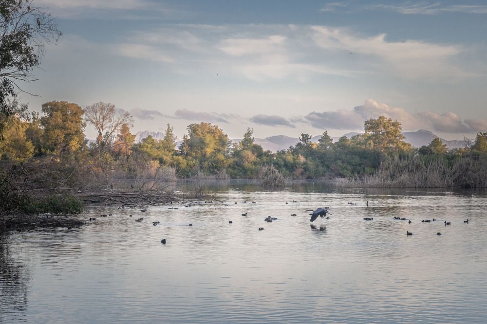 Photograph by Antonis Papaconstantinou