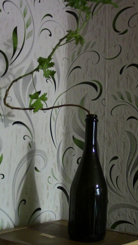 Photograph by Ирина Степановна Азаренкова