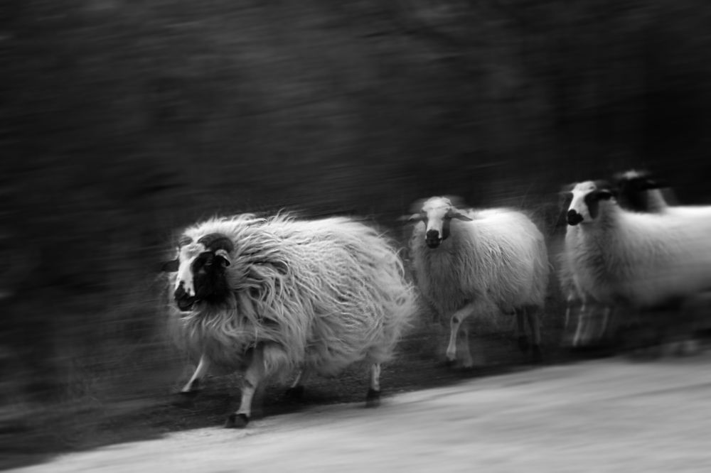 Photograph by Dimitris Lapousis