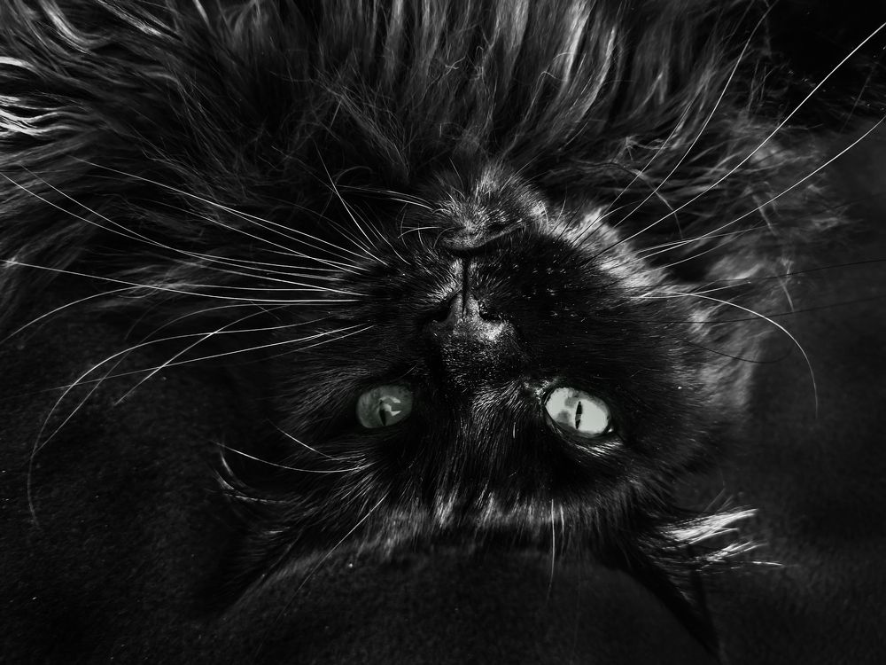 Photograph by Наталия Кошелева