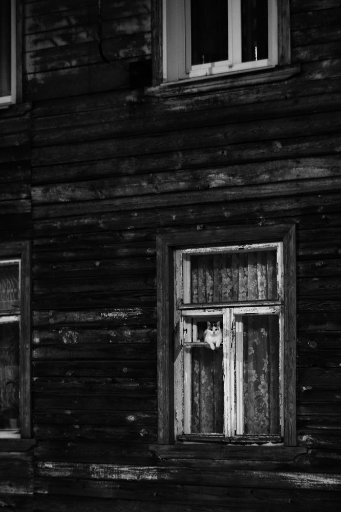 Photograph by Георгий Горшков