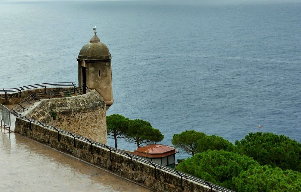 Фотография автора Lada