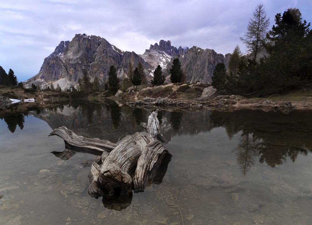 Photograph by Димитър Димитров