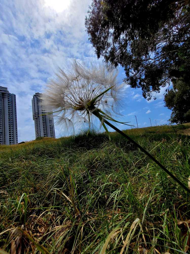 Фотография автора Ирина Авраменко