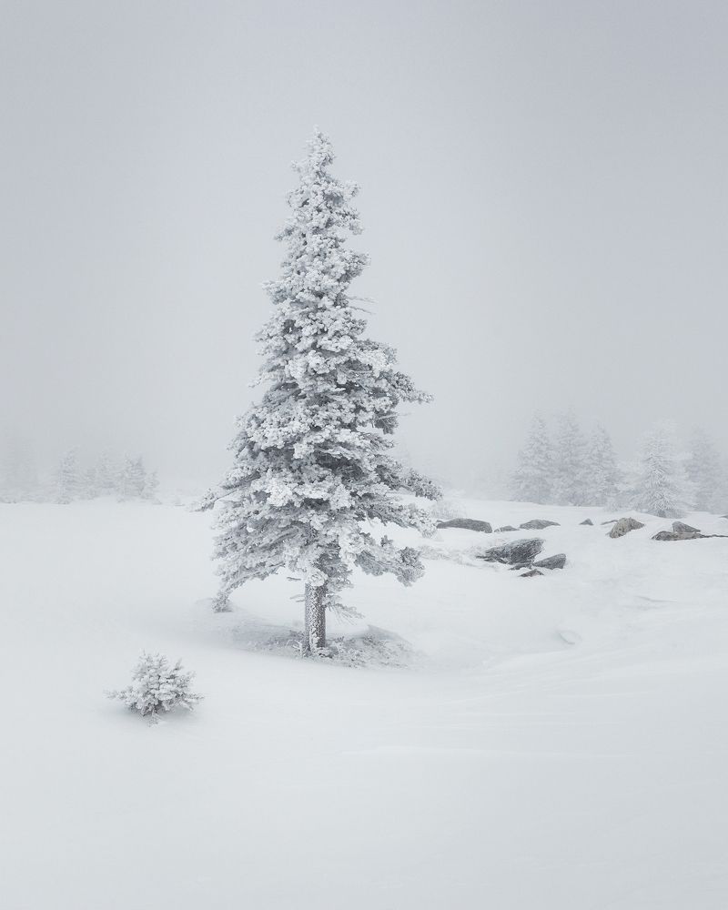 Photograph by Татьяна Бирюкова