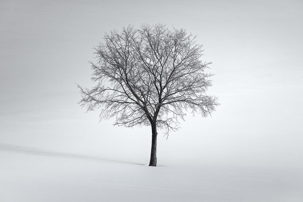 Photograph by Татьяна Бирюкова