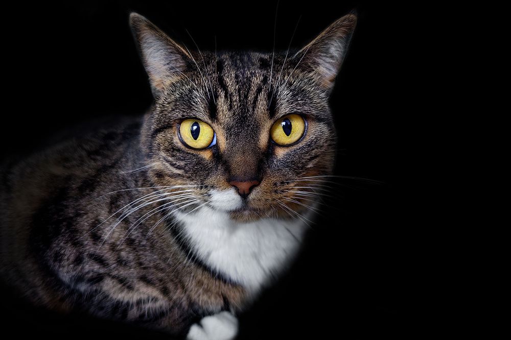 Photograph by Evgeniia Iakimenko