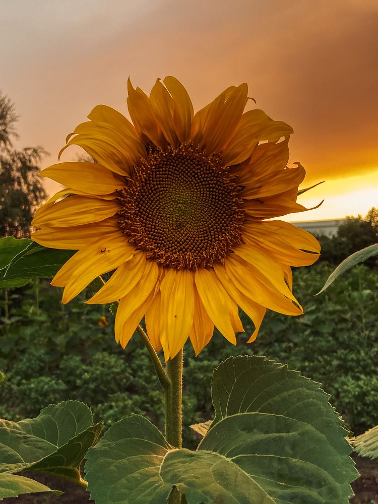 Photograph by Марина Сергеевна