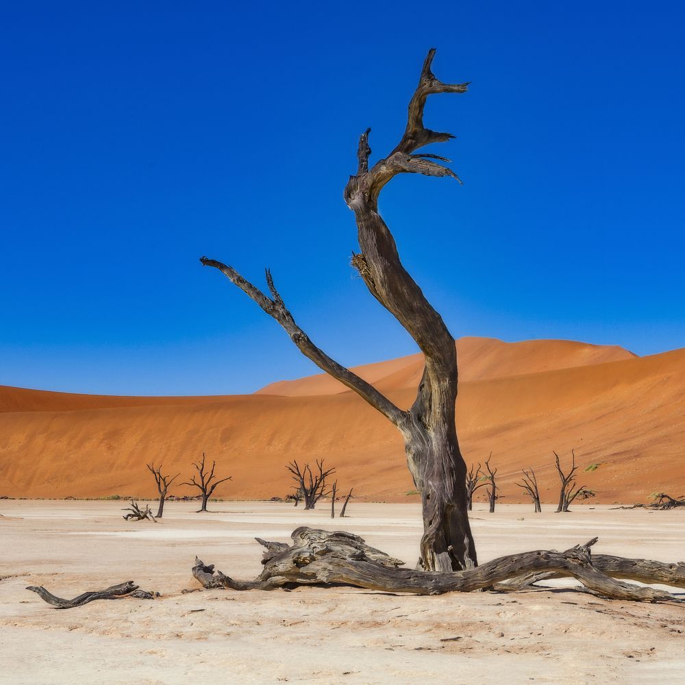 Photograph by Анатолий