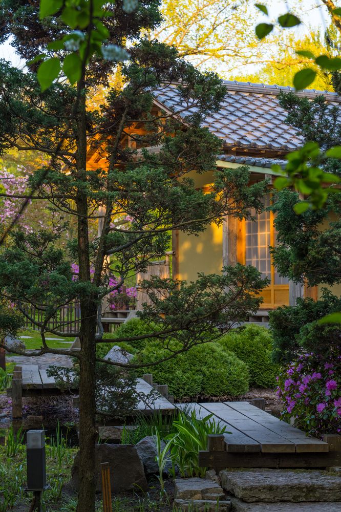 Фотография автора Irina Panina