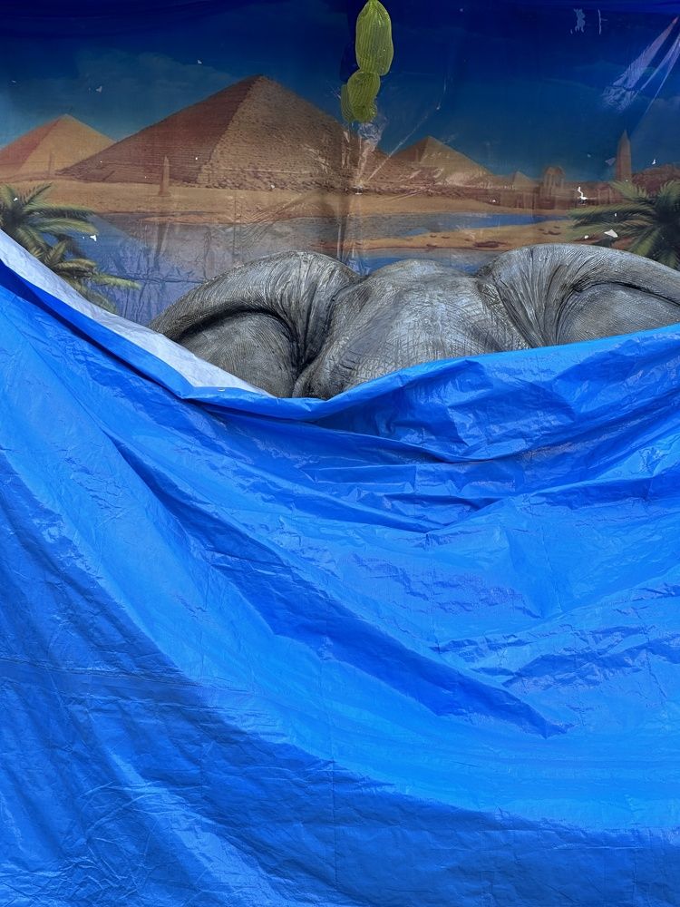 Photograph by Francisco Mata Rosas