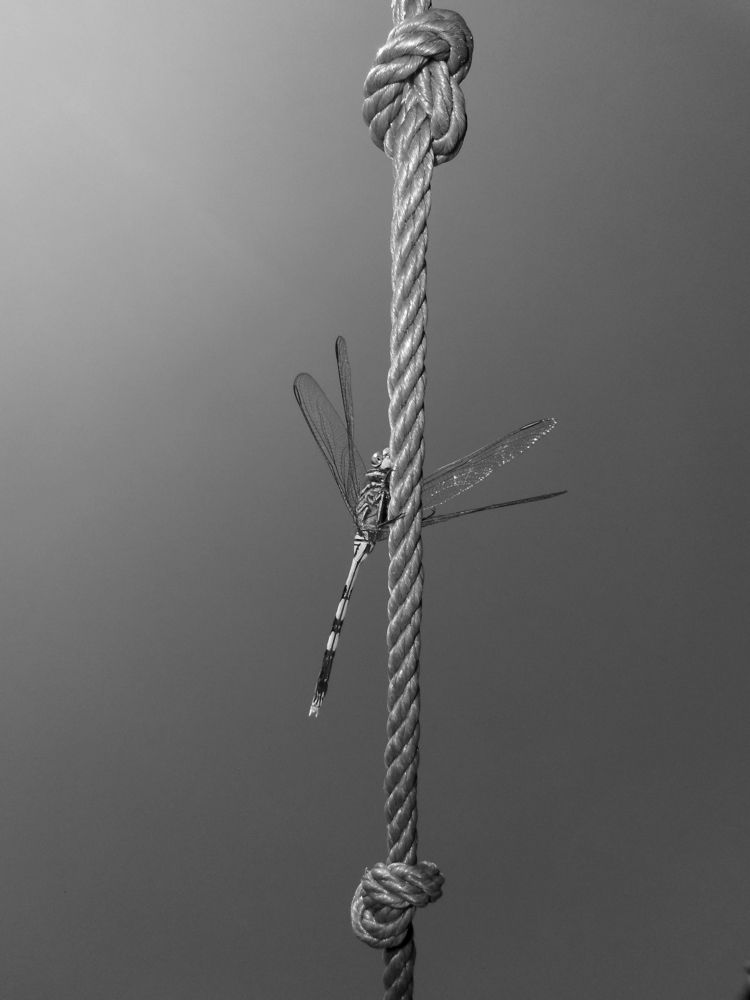 The world is not enough