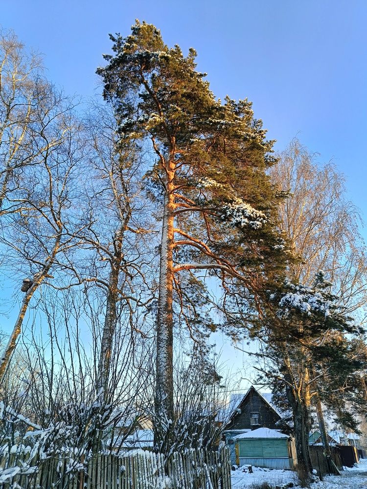 Photograph by Алексей Левичев