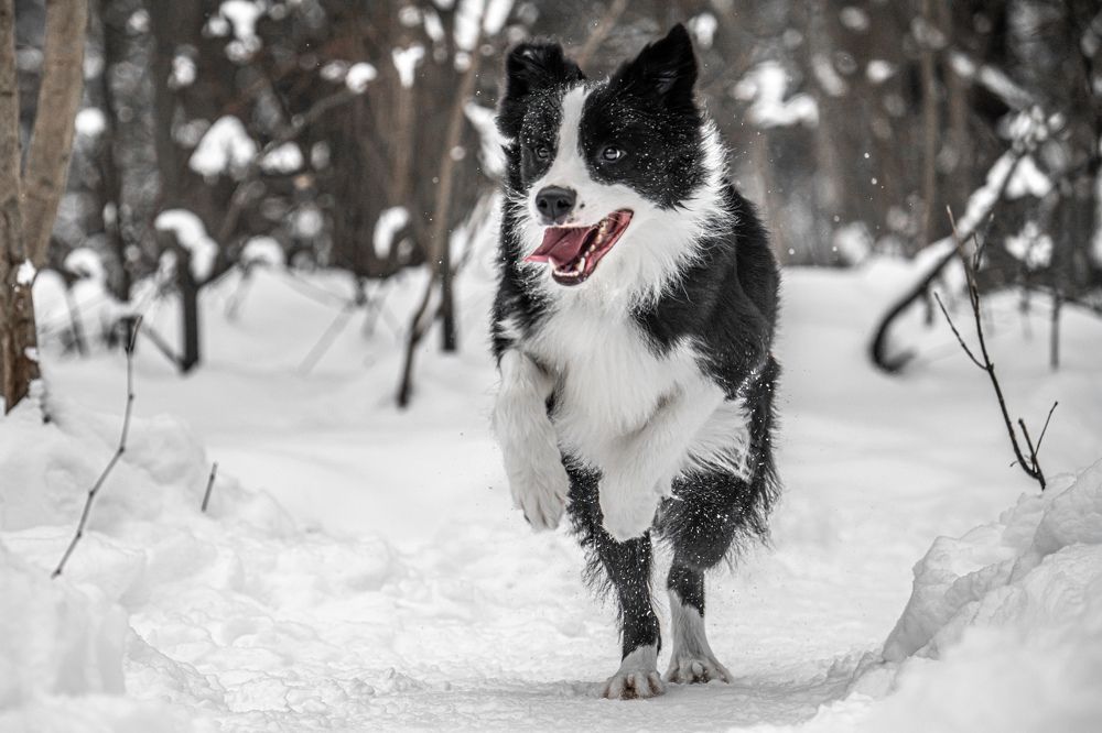 Photograph by Sergey Rygin