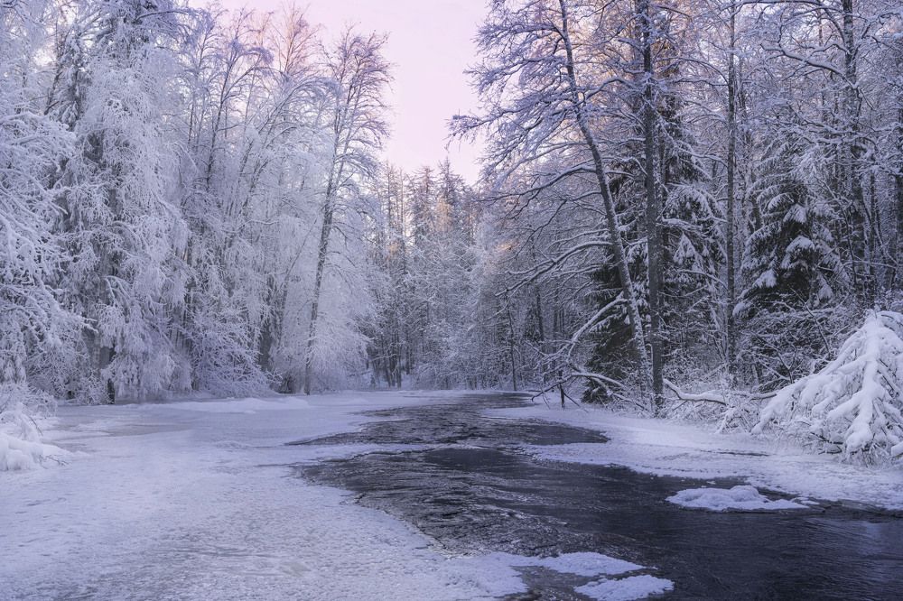 Фотография автора Галина