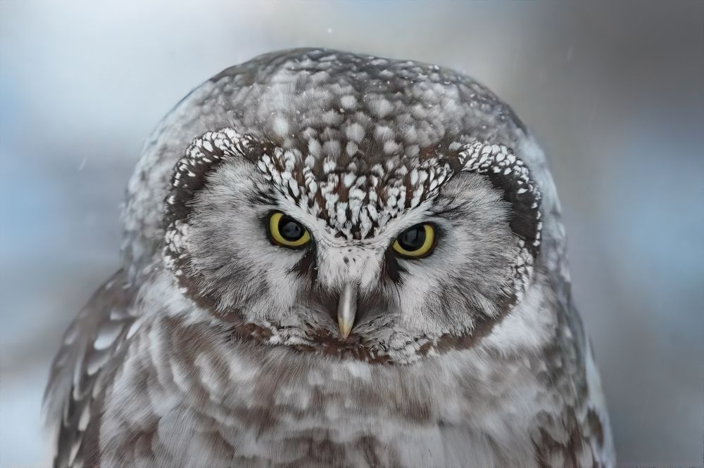 Photograph by Дарья