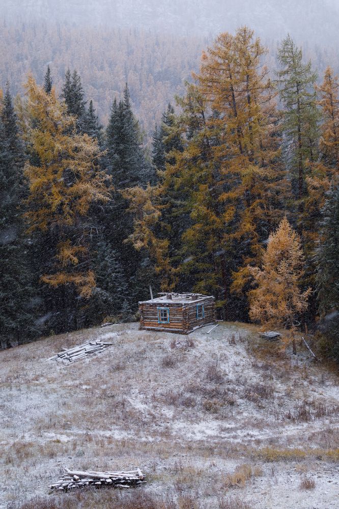 Photograph by Мария Казакова