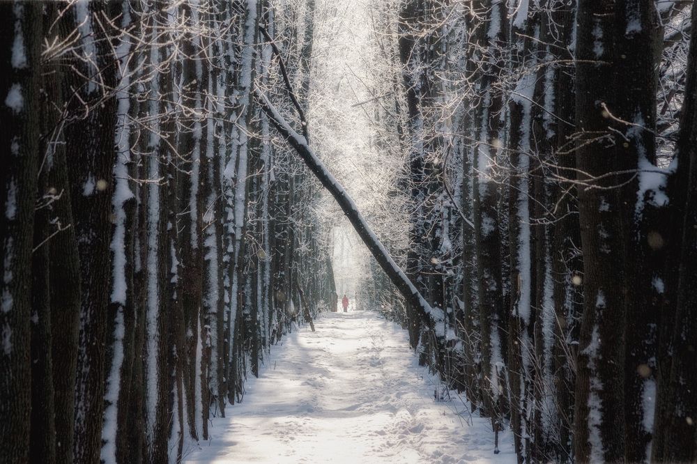 Белая дорога