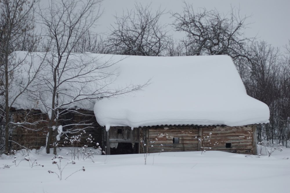 Photograph by Александр Кизим