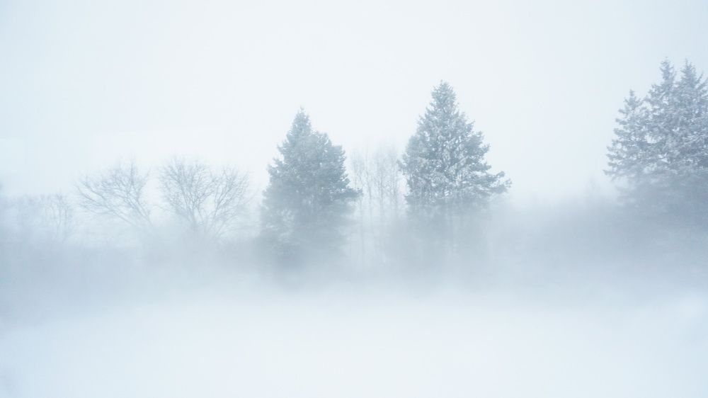 Photograph by Александра Пецевич