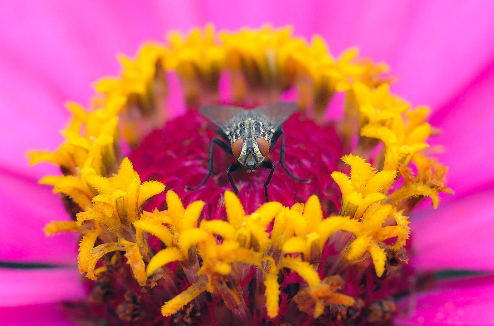 Photograph by Олеся zme