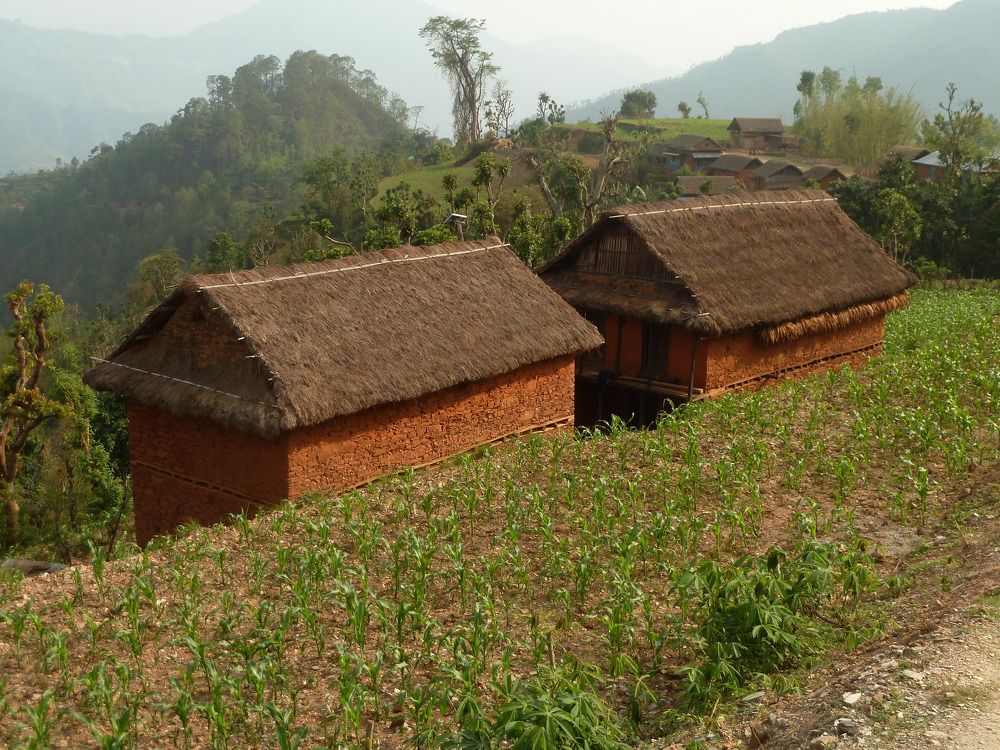 Photograph by Oleg Guchgeldiyev