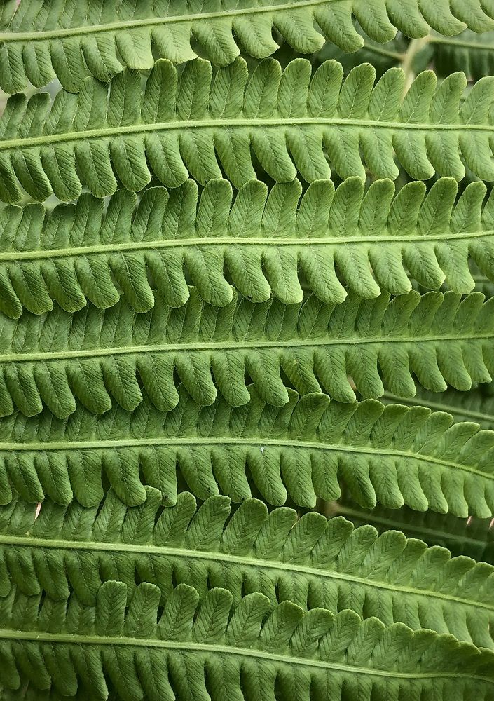 Photograph by Евгения Елисеева