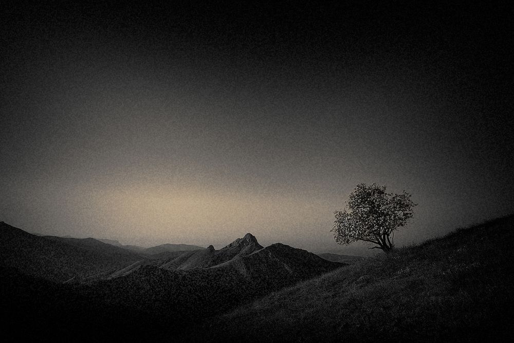 Photograph by Андрей Гусаченко