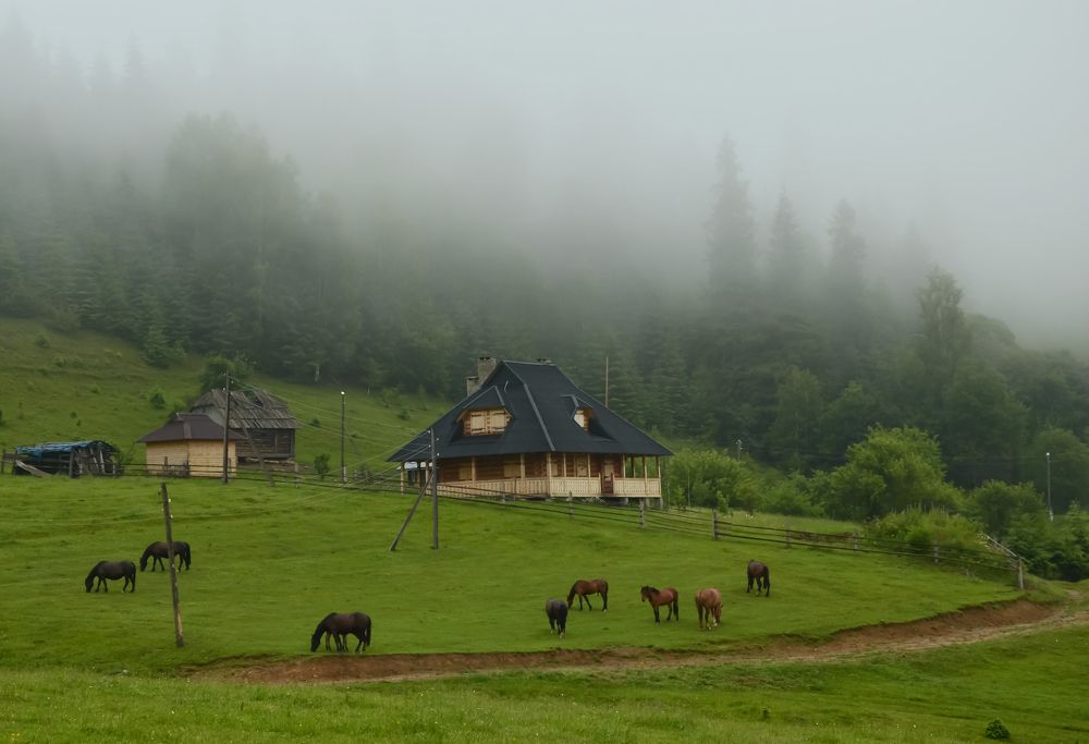 Photograph by Валерий Наумов