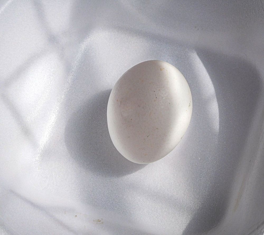 Photograph by HECTOR ANTONIO RAUCHS