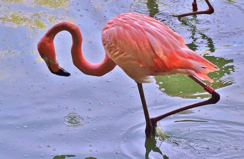 Photograph by backareva irina