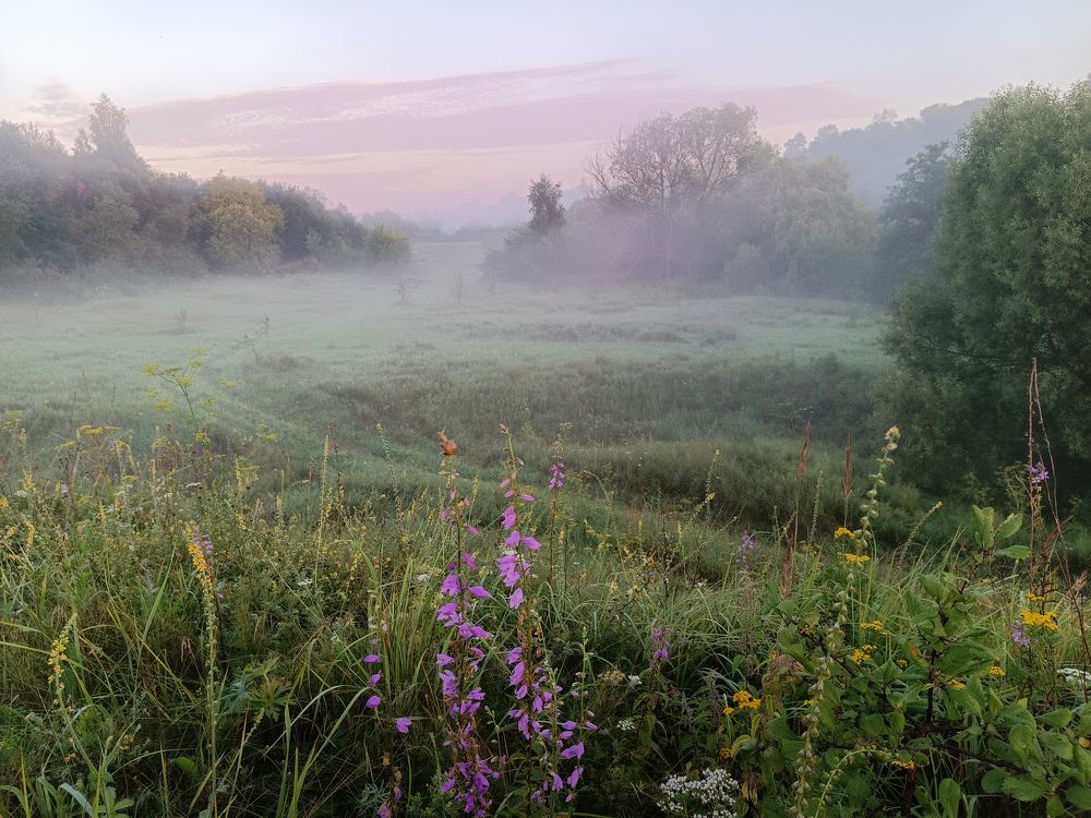 Photograph by Светлана Кондрашова