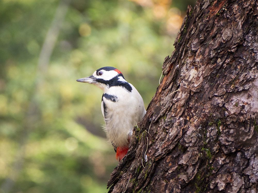 Photograph by Ignatov Yury