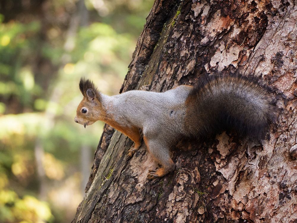 Photograph by Ignatov Yury