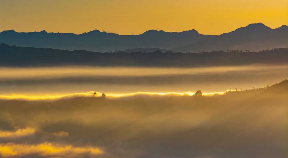 Photograph by Mario Pedraza