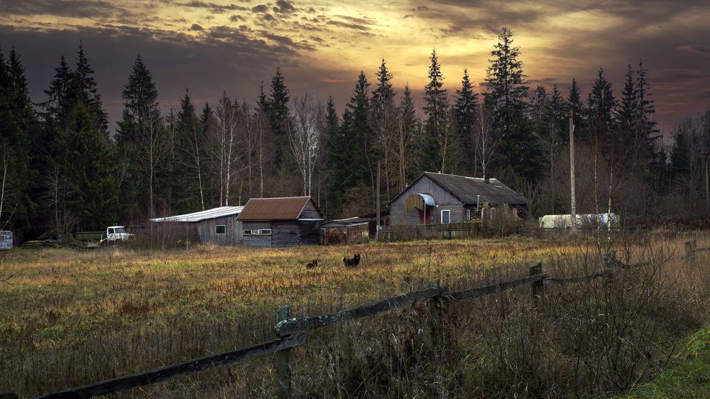 Photograph by Людмила Железнова