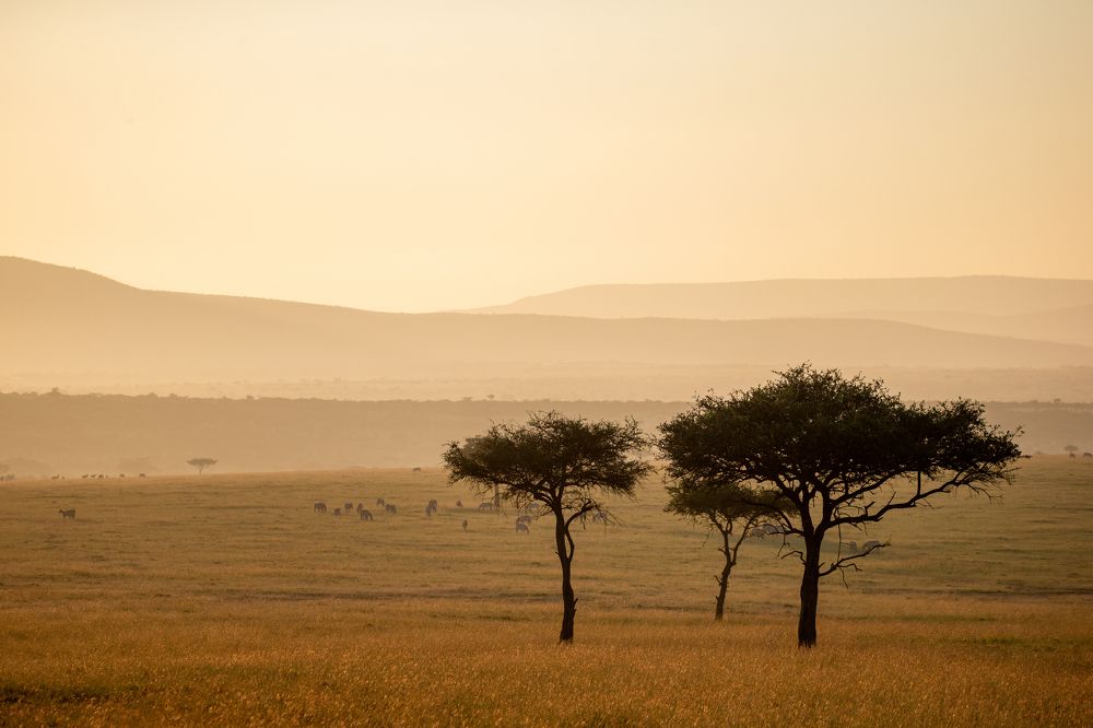 Photograph by Alexander Matrosov