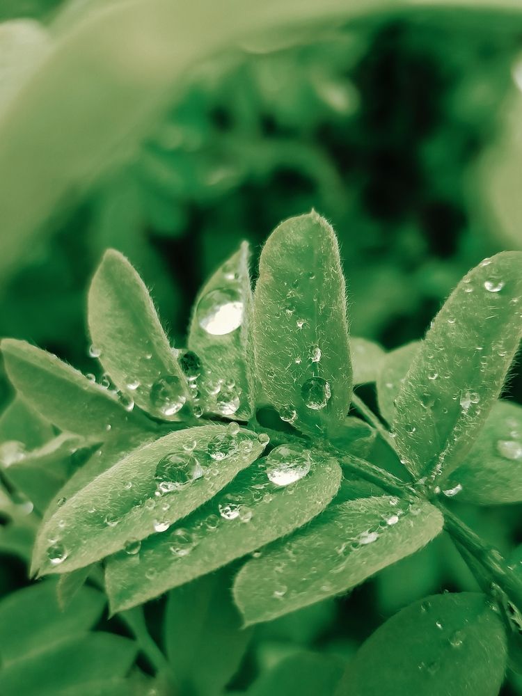 Photograph by Irene Taggil