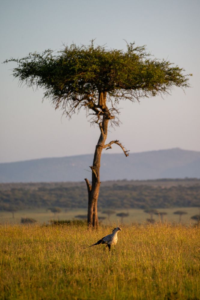 Photograph by Alexander Matrosov