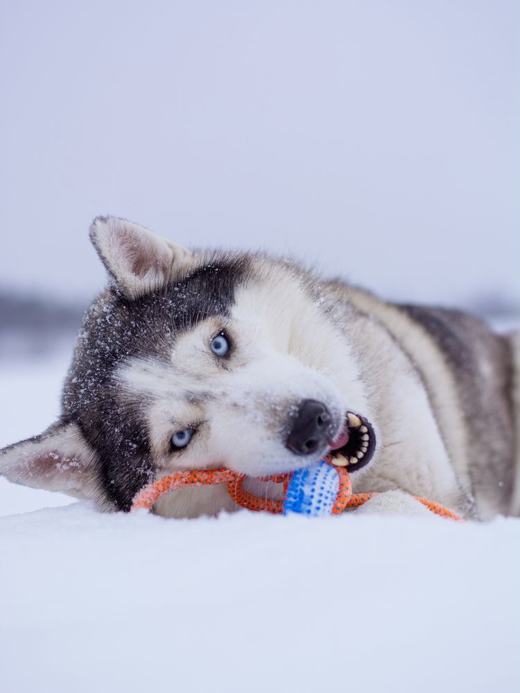 Photograph by Вадим Баталов