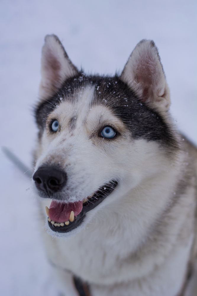 Photograph by Вадим Баталов