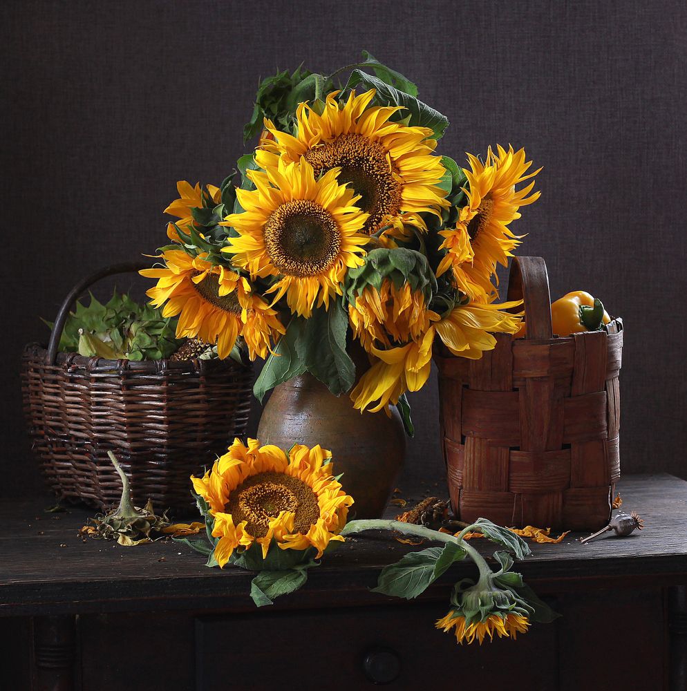 Photograph by Наталья Казанцева