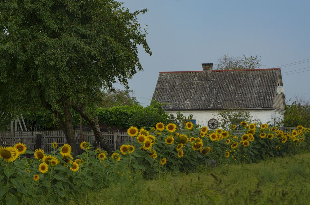 Photograph by Елена Кошелева